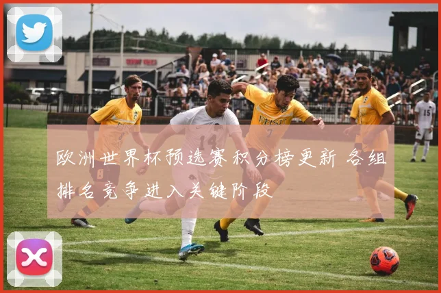 欧洲世界杯预选赛积分榜更新 各组排名竞争进入关键阶段
