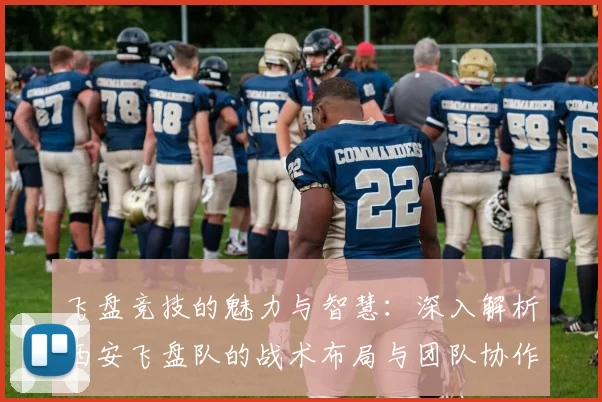 飞盘竞技的魅力与智慧：深入解析西安飞盘队的战术布局与团队协作