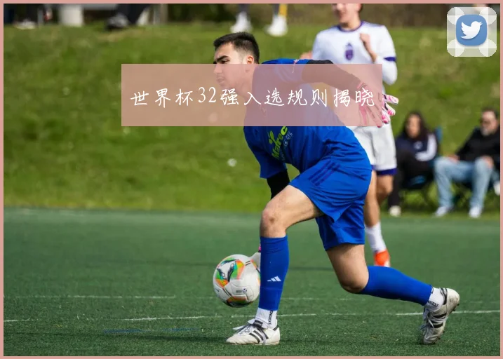 世界杯32强入选规则揭晓