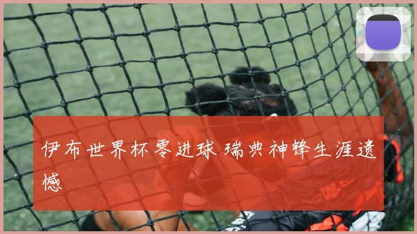 伊布世界杯零进球 瑞典神锋生涯遗憾