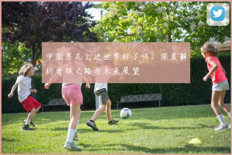 中国男足打进世界杯了吗？深度解析晋级之路与未来展望