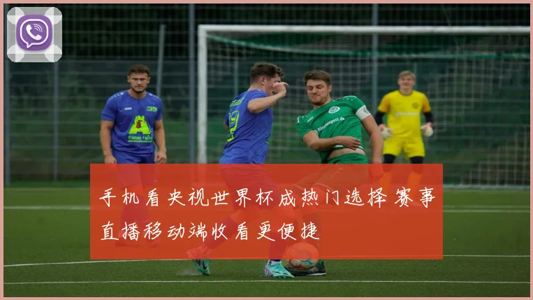手机看央视世界杯成热门选择 赛事直播移动端收看更便捷