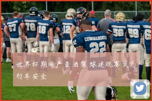 世界杯期间严查酒驾 球迷观赛莫忘行车安全