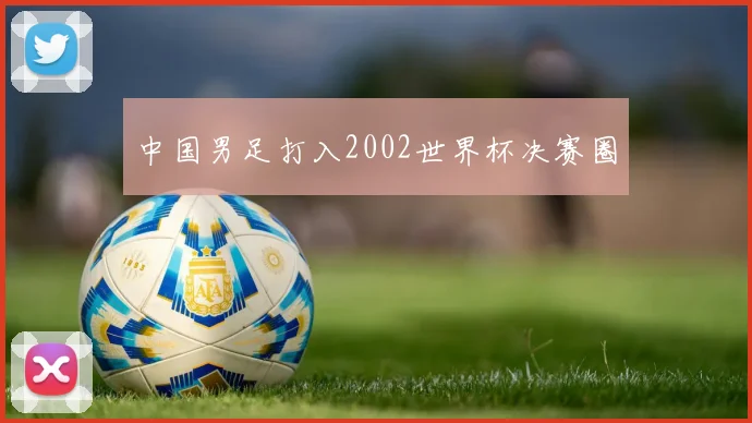 中国男足打入2002世界杯决赛圈