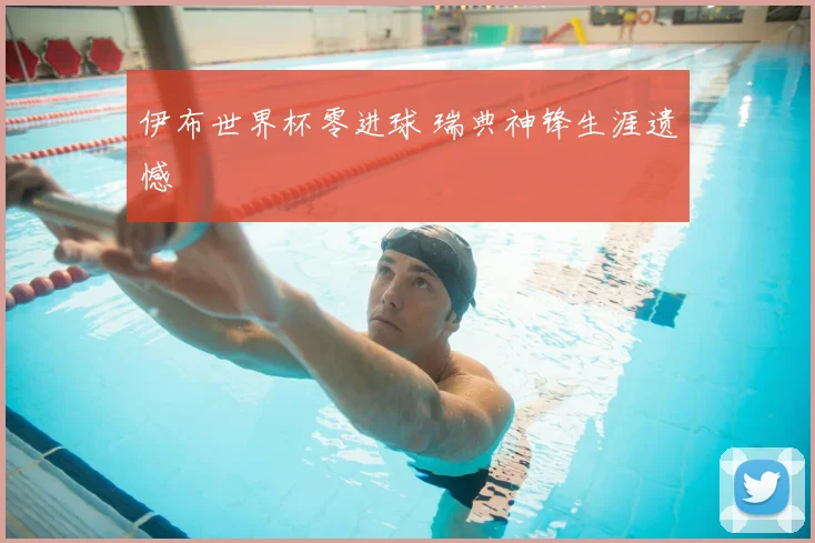 伊布世界杯零进球 瑞典神锋生涯遗憾